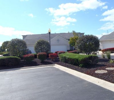 Nogas Landscaping- bushes and shrub service